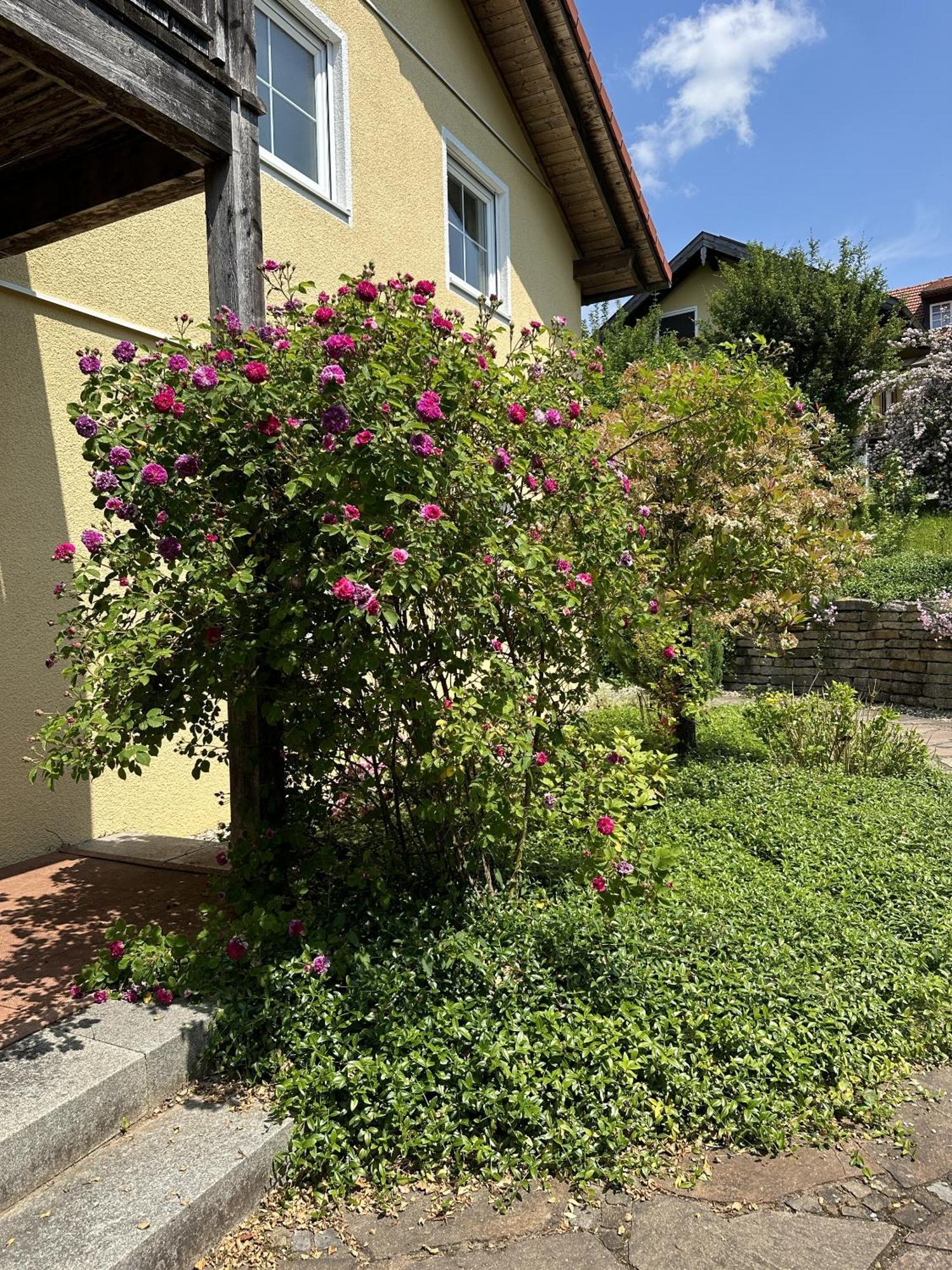 Ferienwohnung Haus Valentina Bad Endorf Exterior foto